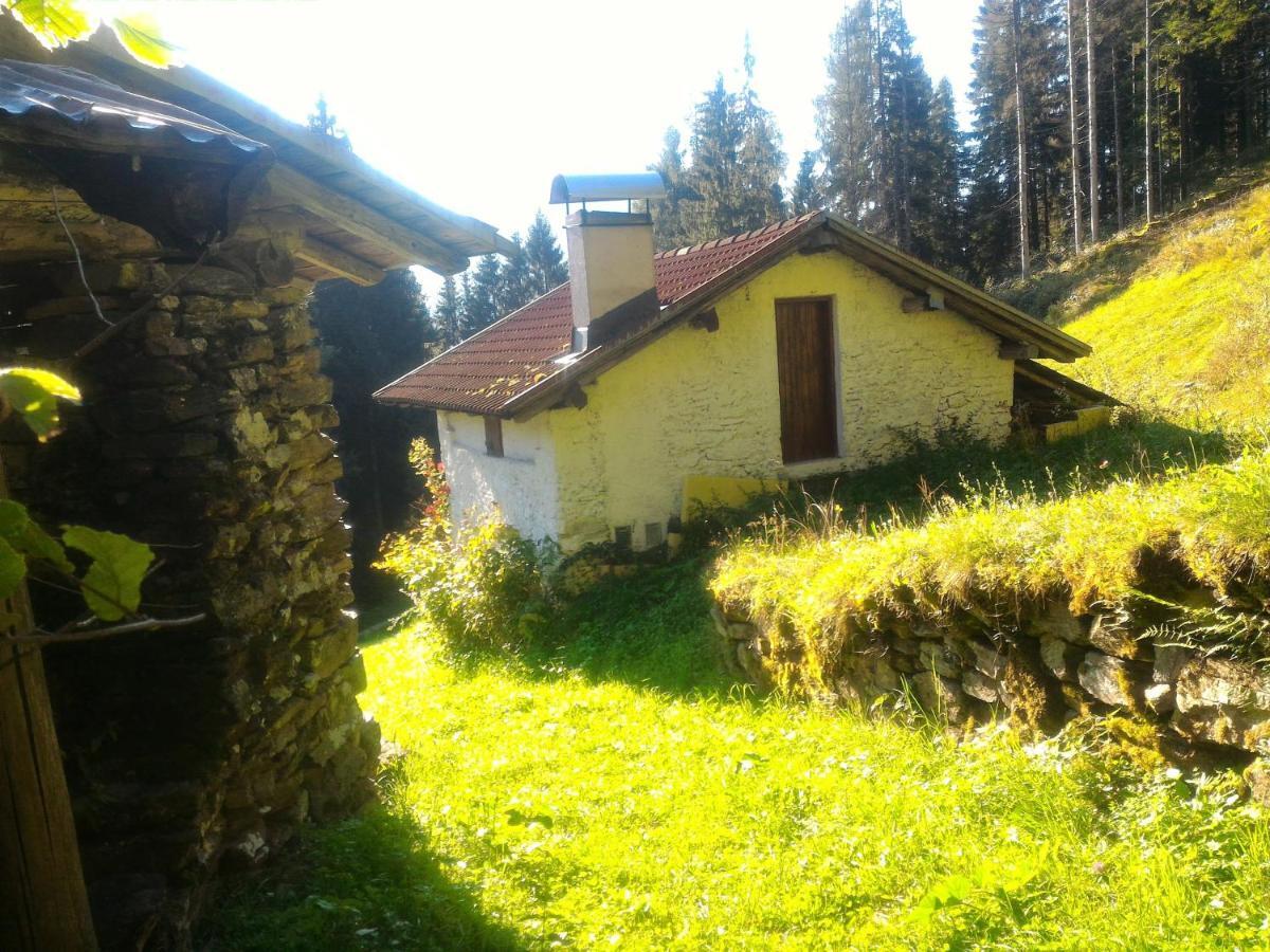 Apartament Casa Lausen Canal San Bovo Zewnętrze zdjęcie