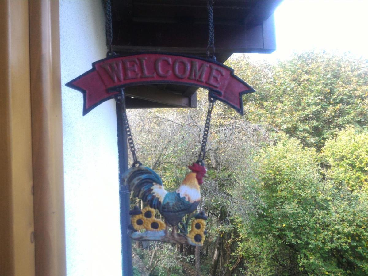 Apartament Casa Lausen Canal San Bovo Zewnętrze zdjęcie